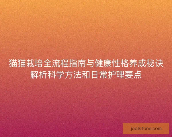 猫猫栽培全流程指南与健康性格养成秘诀解析科学方法和日常护理要点